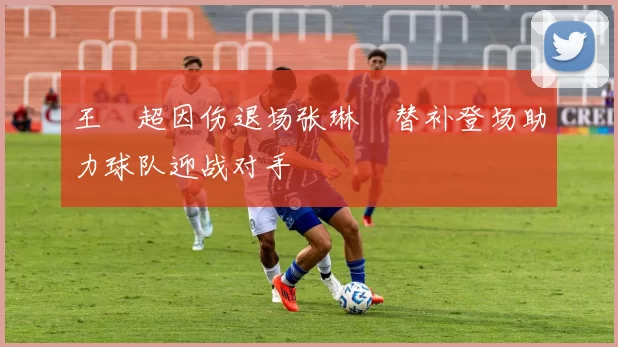 王燊超因伤退场张琳芃替补登场助力球队迎战对手