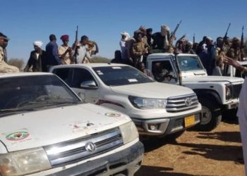 (تمازج) تستعرض قواتها العسكرية بشرق دارفور