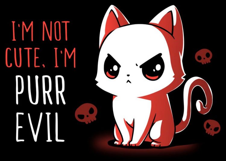 قطة شريرة تتسبب في هبوط طائرة سودانية اضطرارياً