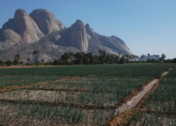 إصابة 17 شخصا في مواجهات قبلية بكسلا