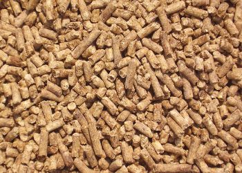 مئة مليون ريال سعودي لإنشاء مشروع متكامل للأعلاف بالسودان