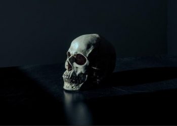 جريمة قتل بشعة لمدير محطة وقود تهز أم درمان