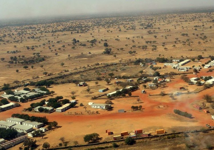 مقتل شخصين ونهب 300 رأس من المواشي بجنوب دارفور