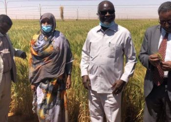 وزير المالية: 6 مليارات متر مكعب من مياه السودان تذهب سنوياً لمصر