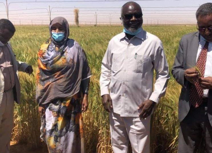 وزير المالية: 6 مليارات متر مكعب من مياه السودان تذهب سنوياً لمصر