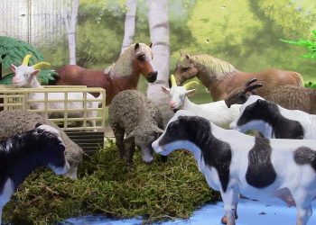 وزير الثروة الحيوانية والسمكية يكشف حصيلة عوائد صادر الماشية عبر المصارف