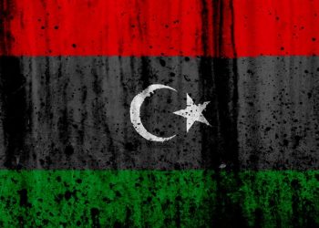 700 ألف سوداني بليبيا لا يمتلكون جوازات سارية