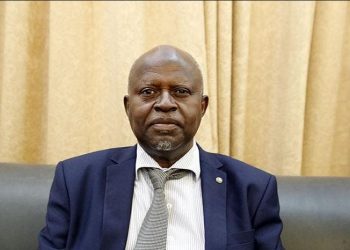 وزير الطاقة والنفط : الدولة مازالت تدعم الوقود والازمة بسبب خلاف مع الموردين