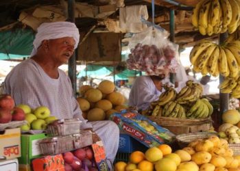ارتفاع جديد على أسعار الفواكه