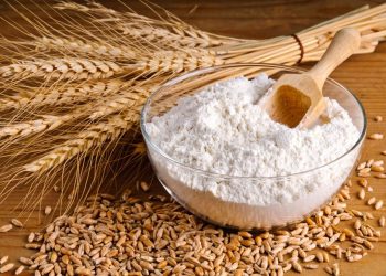 بدء إنتاج الدقيق بمطاحن الأبيض