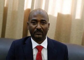 تركيا تزود السودان بمنحة لقاحات للثروة الحيوانية