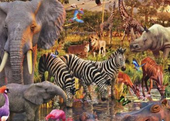 اختفاء الحيوانات البرية بسبب الحرب بجنوب كردفان