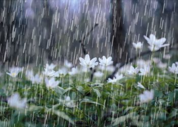 الأرصاد في السودان تتوقّع هطول أمطار