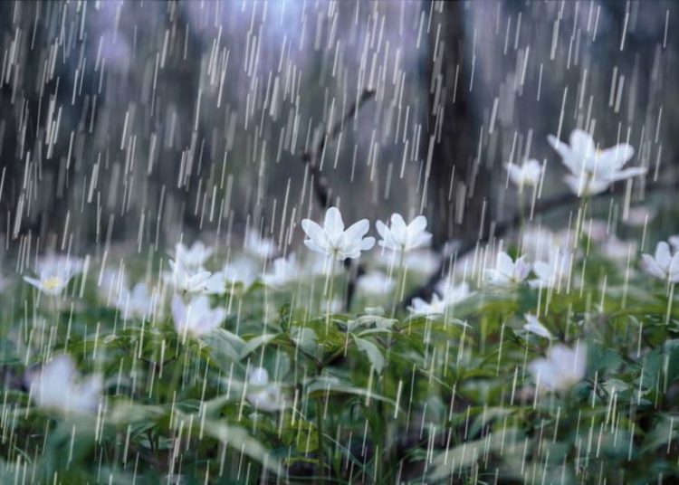 الأرصاد في السودان تتوقّع هطول أمطار