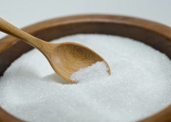 15 مستنداً مترجماً تسلمها النيابة للمحكمة في قضية مصنع سكر مشكور