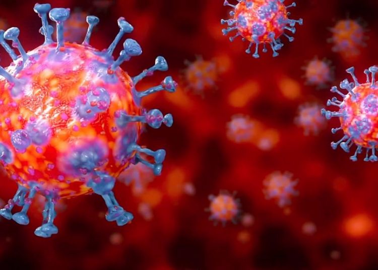 تسجيل 80 إصابة جديدة بالكورونا و 7 حالات وفاة