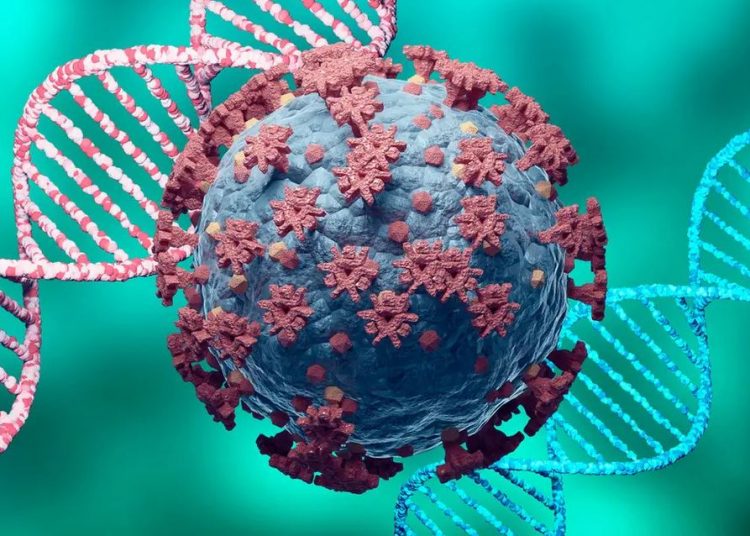 فرض إجراءات صحية بالقانون في منطقتي كافوري وشرق الخرطوم بسبب كورونا
