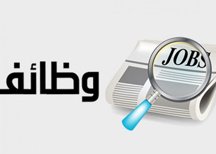 اجراءت لتوفير 500 وظيفة جديدة بالجزيرة