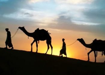 خبير يدعو لمعالجة ظاهرة هجرة الشباب للخارج