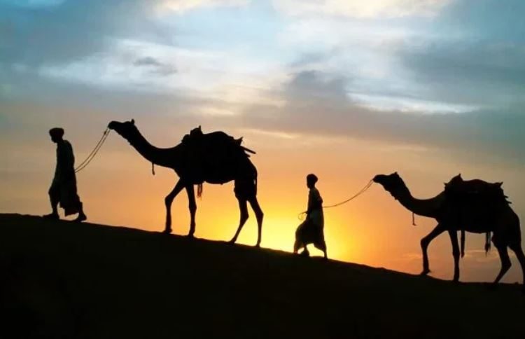 خبير يدعو لمعالجة ظاهرة هجرة الشباب للخارج