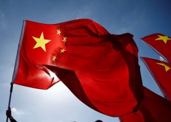 شعبة الحبوب الزيتية: الميناء تسبب في رفض الصين تسلم شحنات الفول السوداني