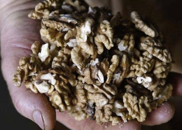 فوائد صحية مذهلة للجوز