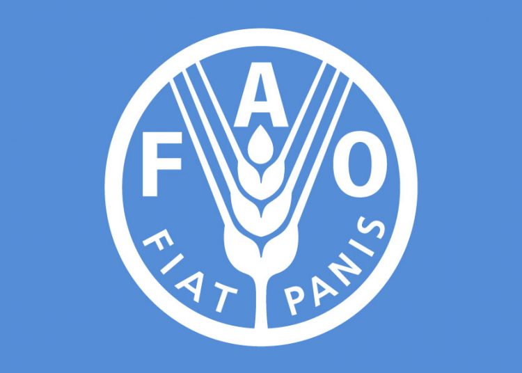 الفاو تعد بدعم ومناصرة دولية لمشروع الجزيرة