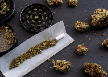 المؤبد مع الغرامة لمروج حشيش بالخرطوم