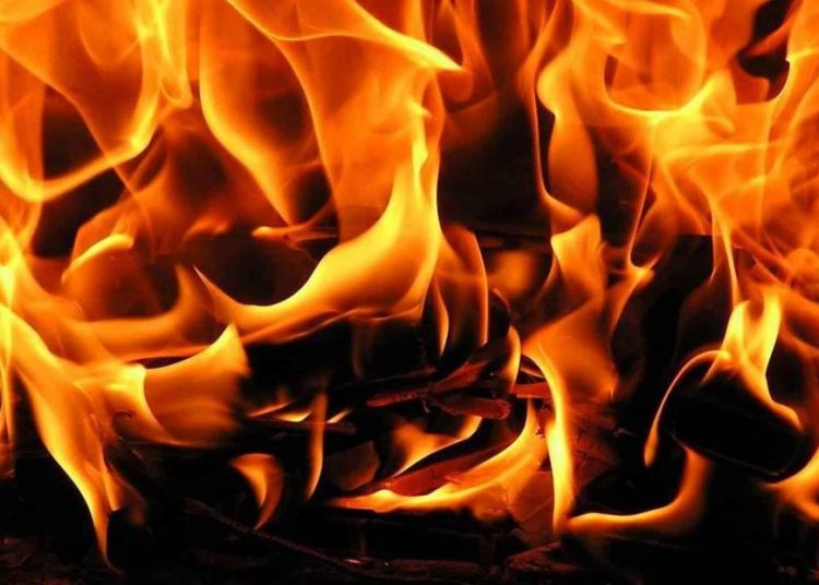 إخماد حريق التهم أشجار النخيل والمنازل بالشمالية