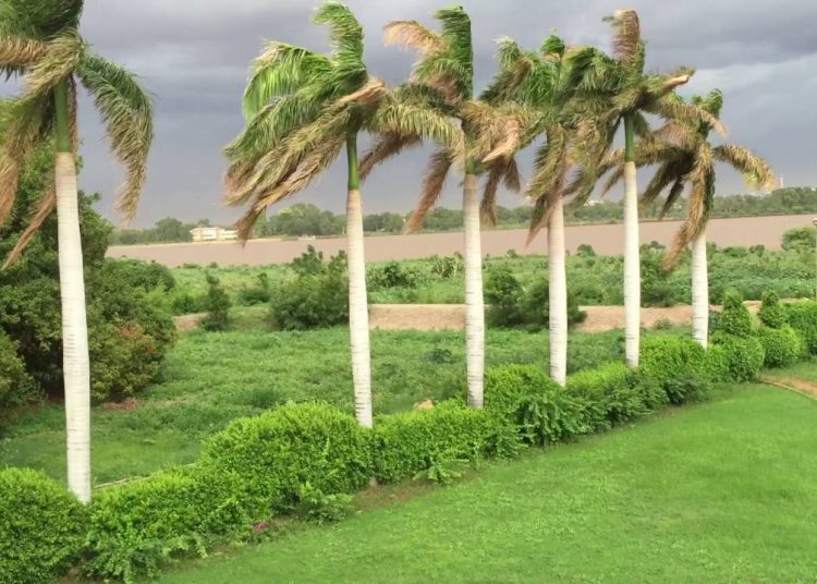 تحديد موعد بداية العام الدراسي بولاية الجزيرة