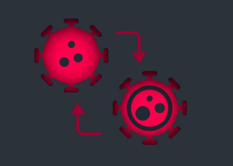 الصحة الاتحادية : حتى الان لم يتم تسجيل حالة كورونا بالمتحور الجديد أوميكرون