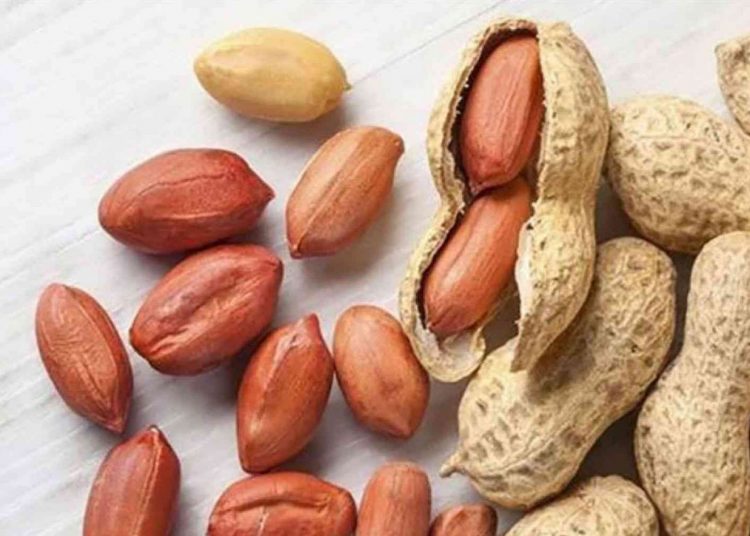 تحذيرات من فقدان موسم صادر الفول السوداني