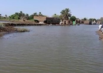 عن مدينه ابوحمد السودانيه