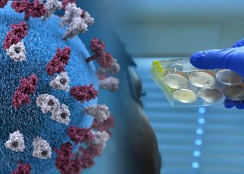 الولايات المتحدة والارهاب الصحيّ