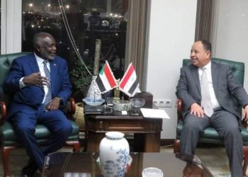 وزير المالية يلتقي نظيره المصري