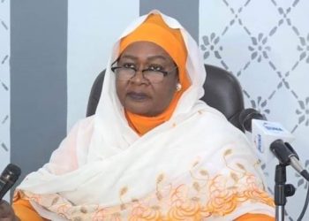 وزيرة الإستثمار تدعو ولاية النيل الأبيض للاستفادة من مميزاتها النسبية في الاستثمار