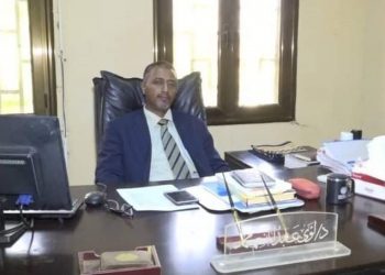 خبير مصرفي يؤكد أهمية وضع قائمة للسلع غير الضرورية