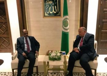 وزير الخارجية المكلف يلتقي نظيره المصري