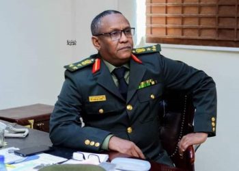 أبو هاجة: الإمارات شريك إستراتيجي في دعم الإنتقال الديمقراطي