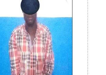 إلقاء القبض علي مواطن امريكي من أصول سودانية في وسط دارفور واتهامه بالتخابر