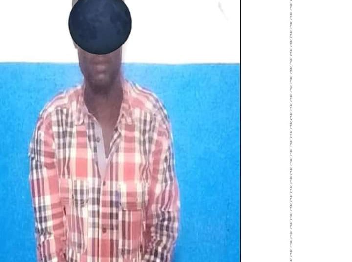 إلقاء القبض علي مواطن امريكي من أصول سودانية في وسط دارفور واتهامه بالتخابر