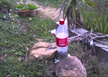 انتشار وصفات شيطانية في مواقع التواصل الإجتماعي يزيد من حدة الصراع في دارفور