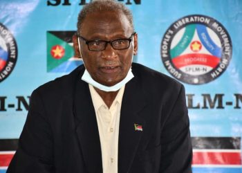 حركة الحلو: “تكوين مجلس أمن ودفاع دون هيكلة لن يفيد”