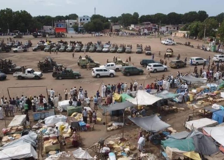 وصول تعزيزات أمنية إلى النيل الأزرق