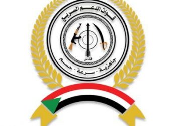 قوات الدعم السريع تضبط على المتفلتين في أحداث إقليم النيل الأزرق