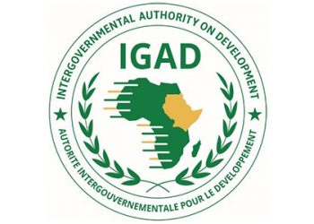 البرهان لقمة الإيقاد: “السلام و الامن هما حجر الأساس للازدهار و التنمية بالمنطقة”