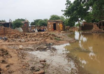 نداء عاجل لإنقاذ النازحين المتضررين من الأمطار بدارفور