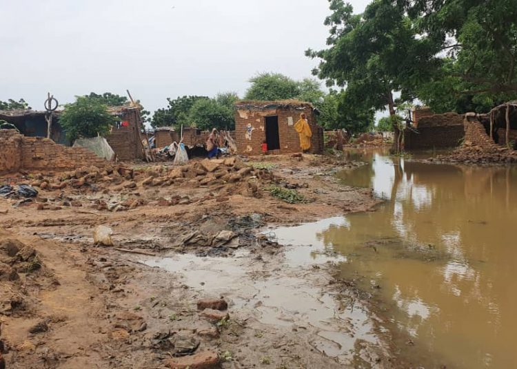 نداء عاجل لإنقاذ النازحين المتضررين من الأمطار بدارفور