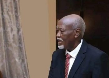 خطاب وزير الحكم الإتحادي الجديد تجاه المجتمعات بالنيل الأزرق وغرب كردفان