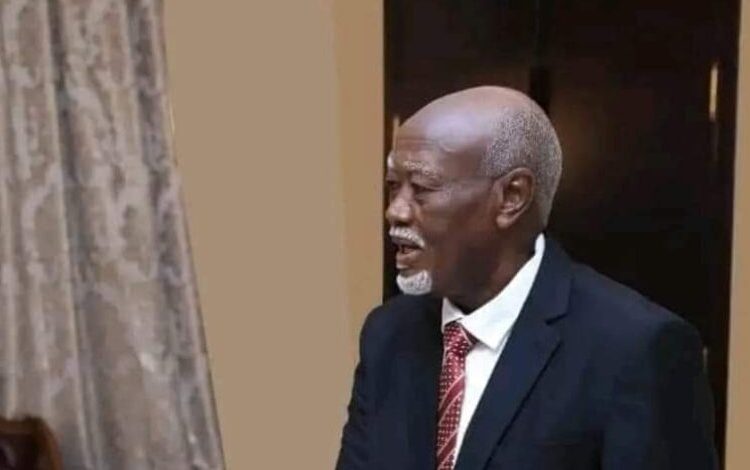 خطاب وزير الحكم الإتحادي الجديد تجاه المجتمعات بالنيل الأزرق وغرب كردفان